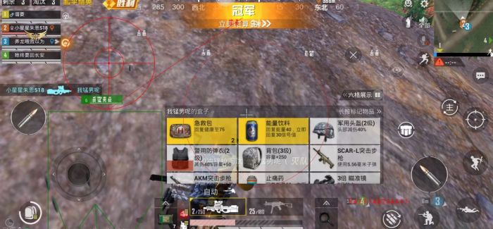 和平精英怎么才能开启辅助（和平精英怎么开启辅助跟随）